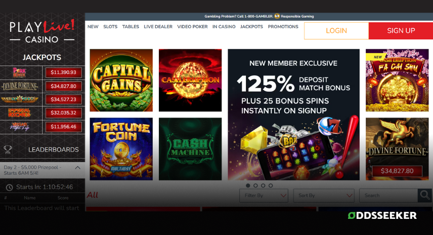 A screenshot of the desktop login page for PlayLive! Casino